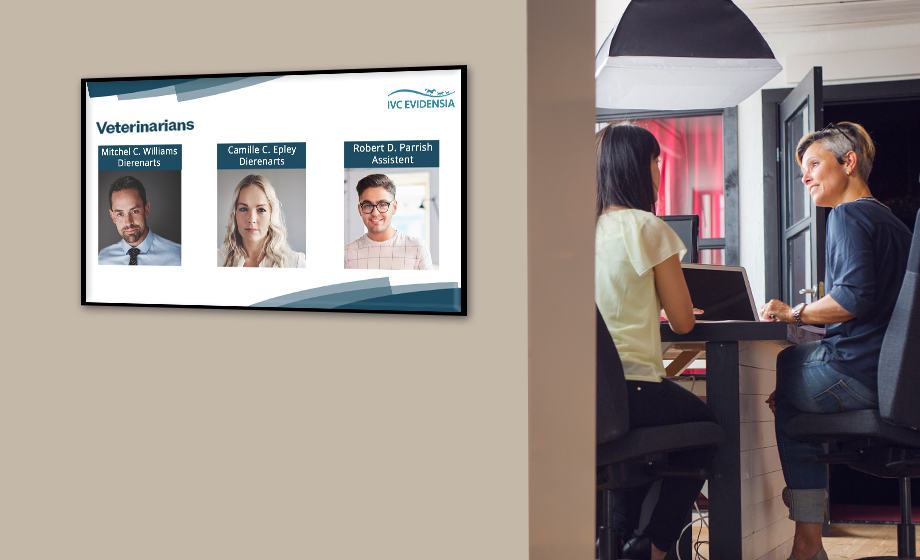Introduce the experts